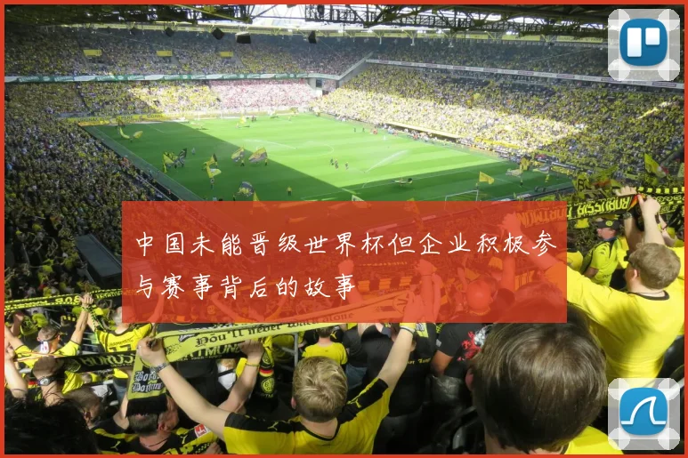 中国未能晋级世界杯但企业积极参与赛事背后的故事