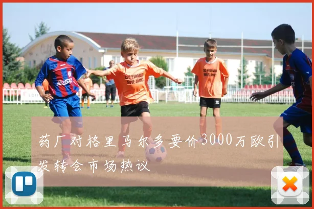 药厂对格里马尔多要价3000万欧引发转会市场热议